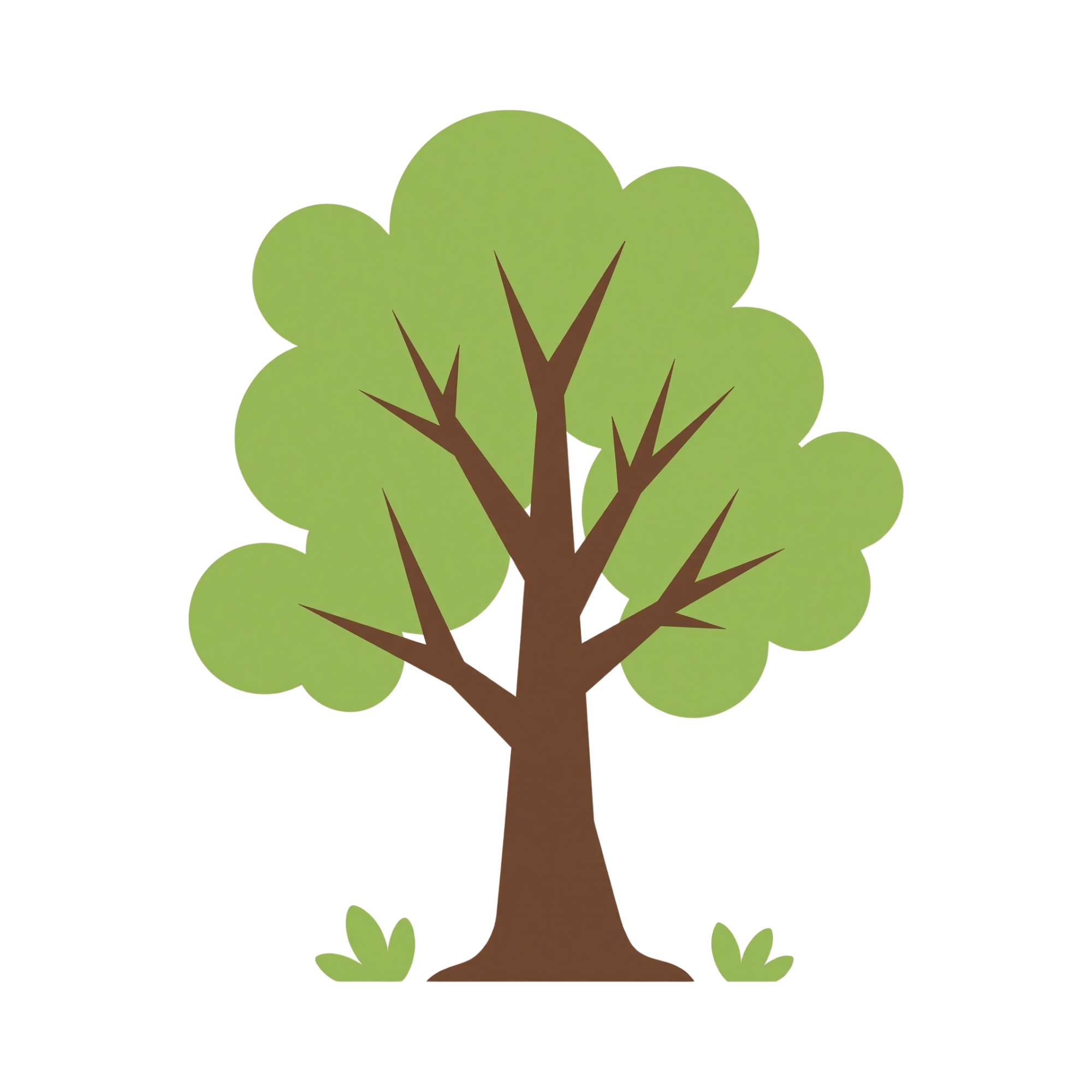picture of a tree