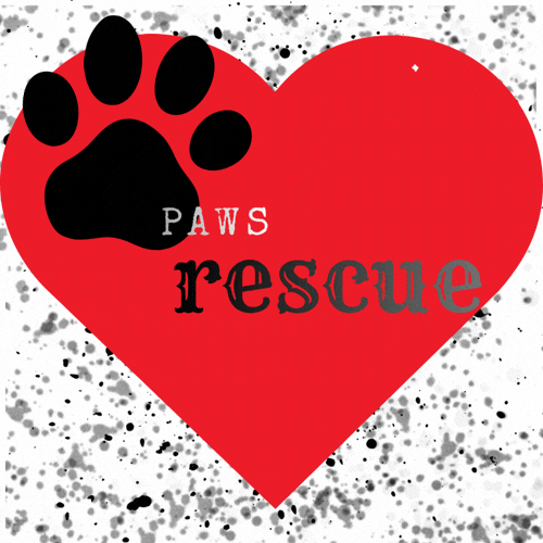 paws rescue