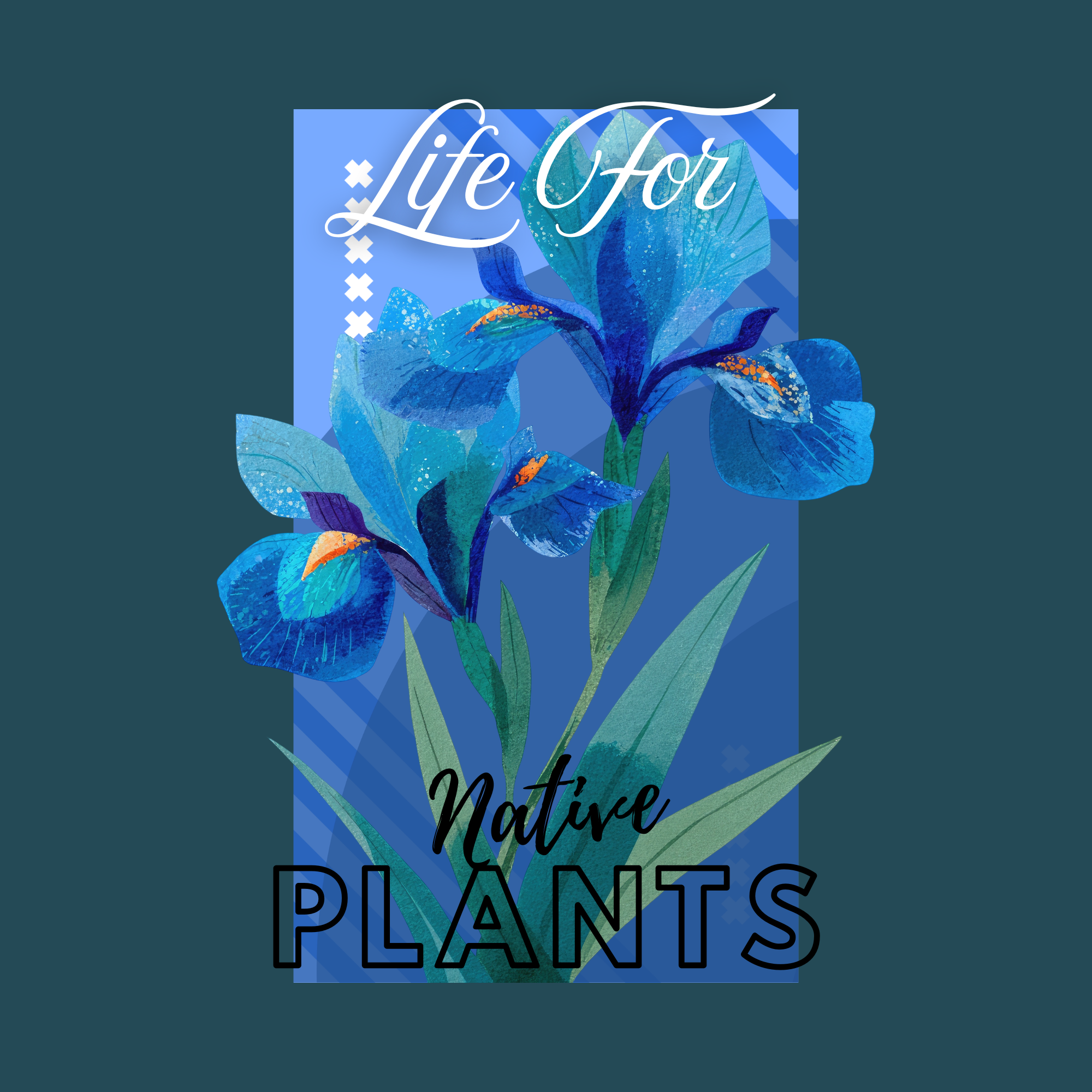 LifeForNativePlants logo
