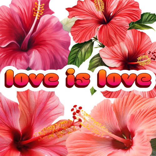 LOVE IS LOVE