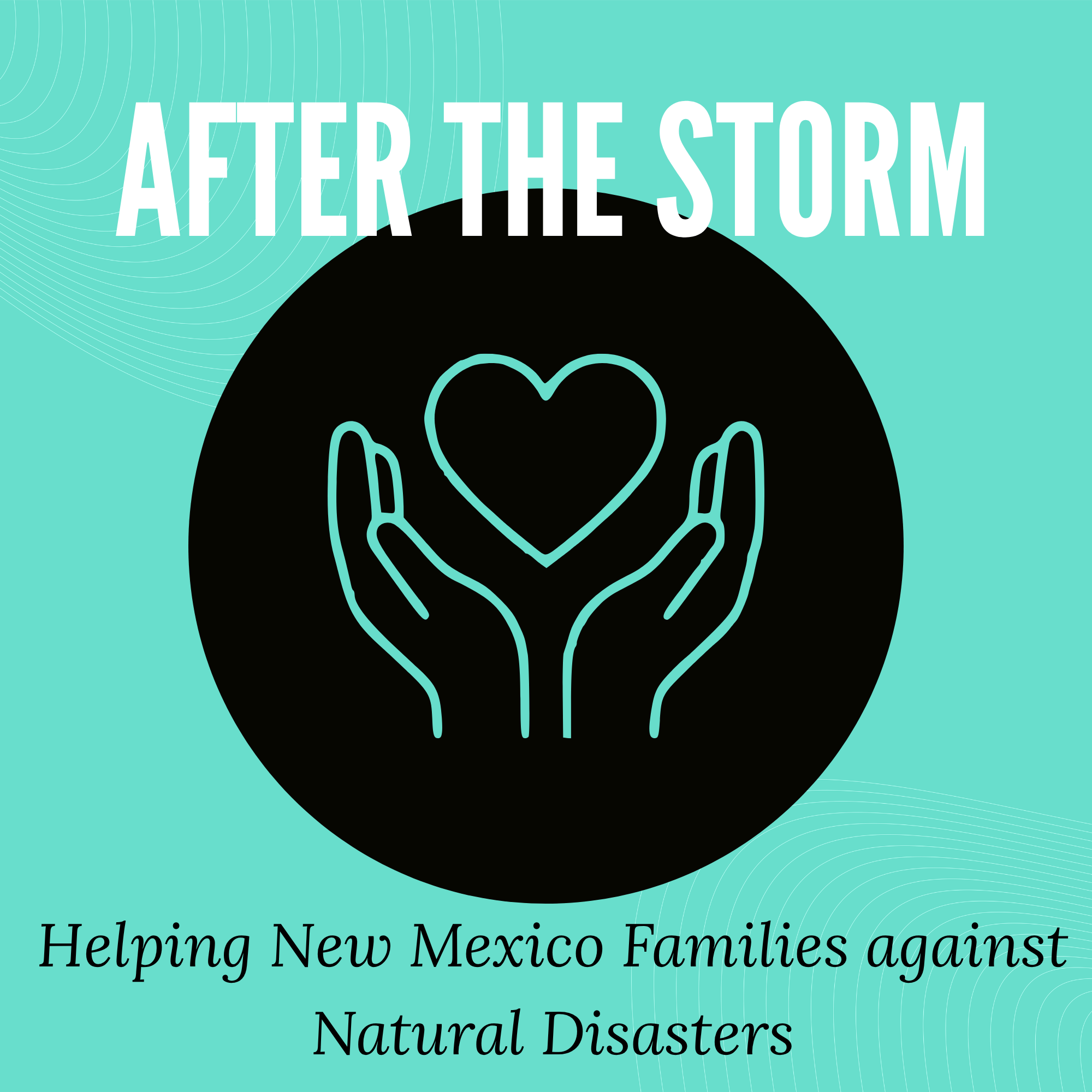 after the storm's logo